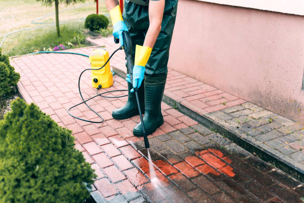 Best Pressure Washing Patio  in Richmond, MN