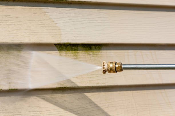 Best Commercial Building Pressure Washing  in Richmond, MN